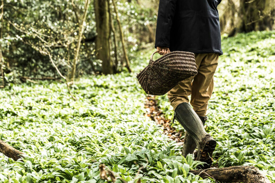 Foraged & Wild Supper Club
