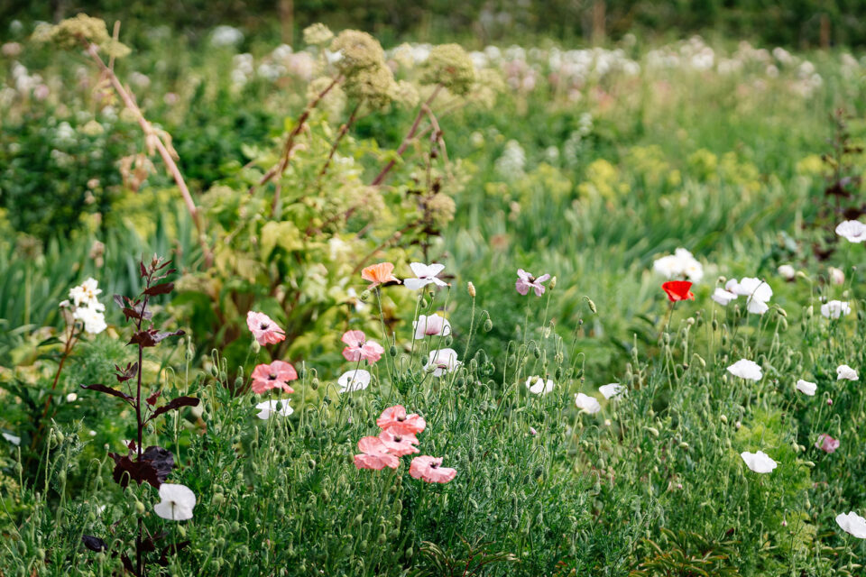 The Green Escape at Daylesford