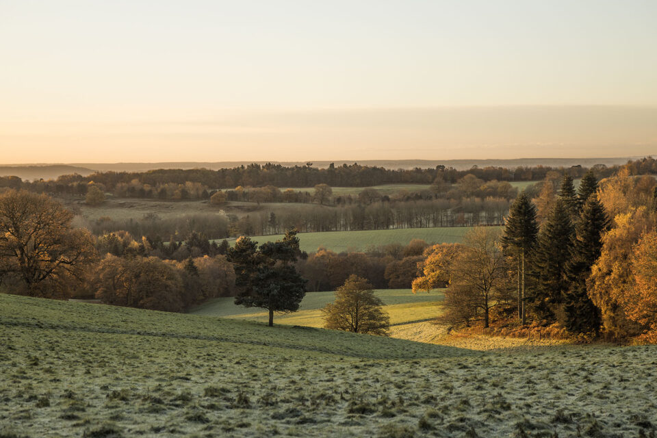 Autumn in The Cotswolds