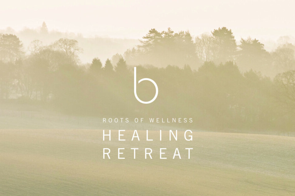 Roots of Wellness Healing Retreat