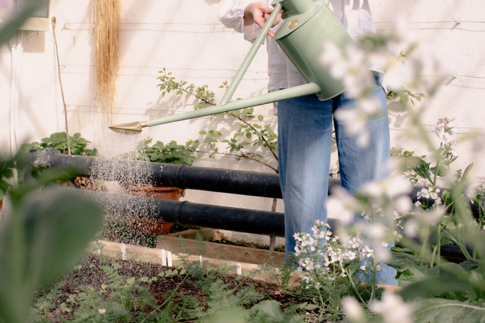 Plan Your Garden With Elizabeth Tyler