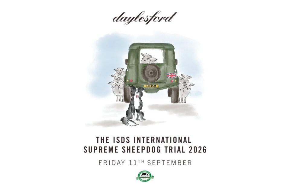 The ISDS International Supreme Championship Sheepdog Trials – Friday 11th September