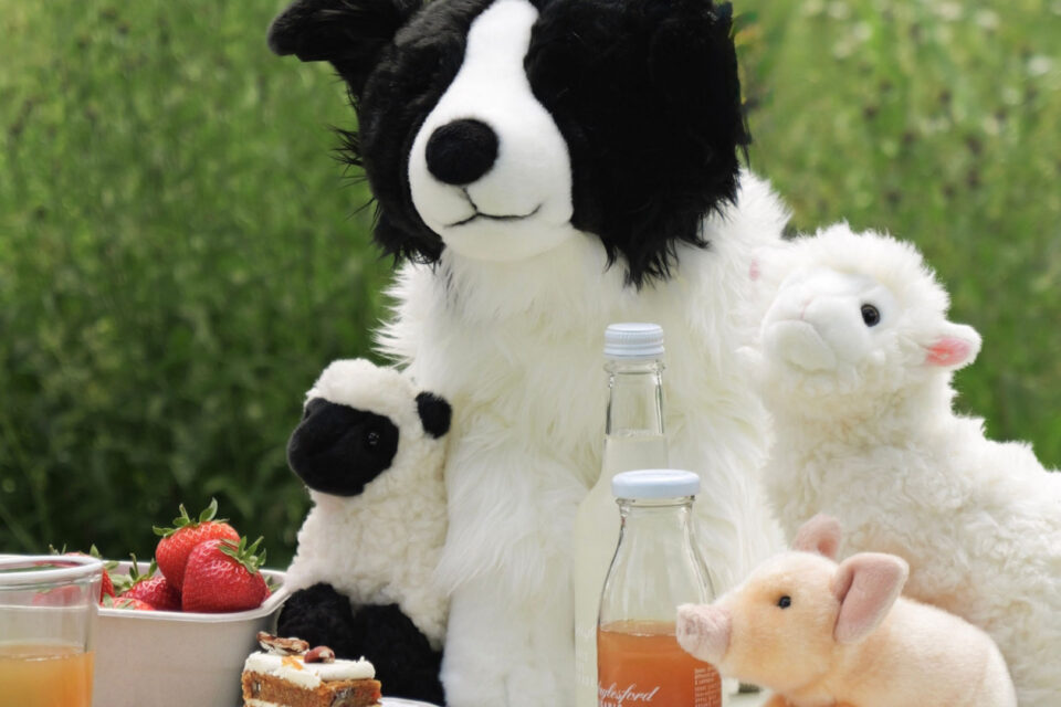 Teddy Bears Picnic