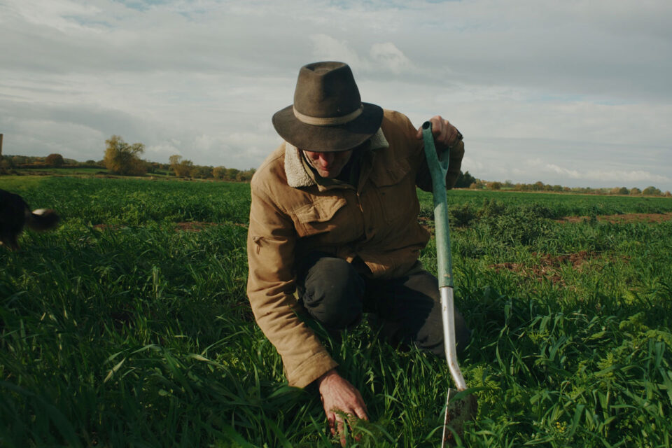 Screening: The Glastonbury Nut Farmer