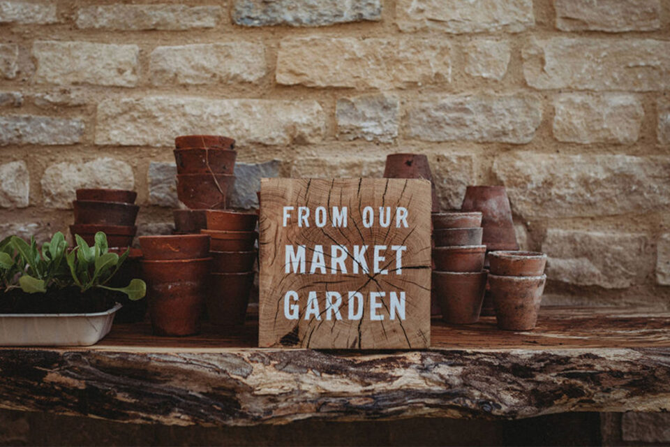 Autumn Potting Workshop